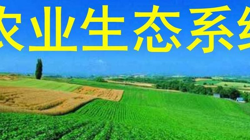 农业用水计量设备：精准灌溉的守护者**