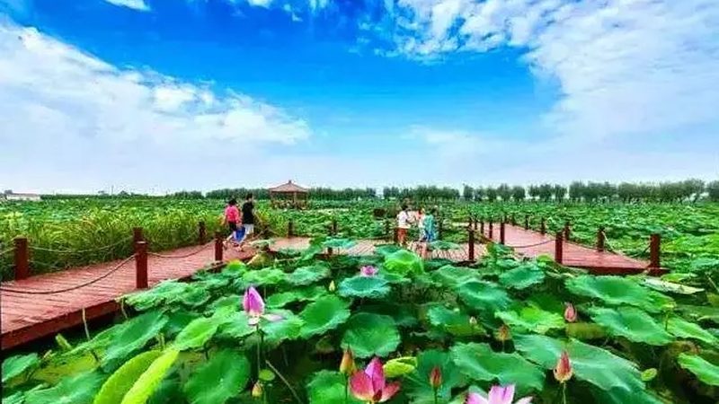 生态农庄策划书：从纸上蓝图到落地运营的关键一环