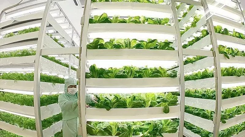 设施农业保温被规格尺寸