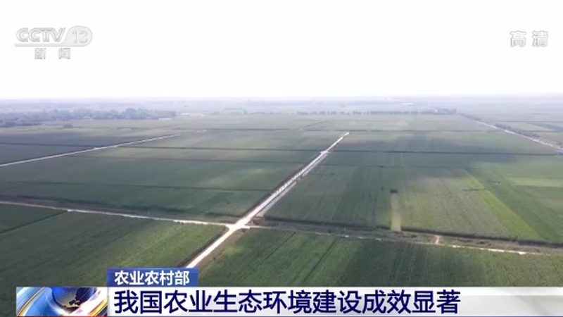 无人机植保服务代理：如何选择与实施