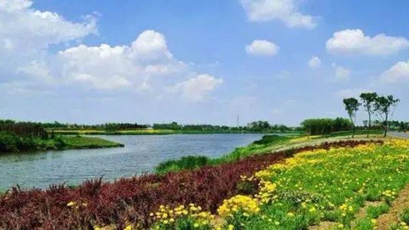蔬菜大棚机械：助力农业现代化的关键装备