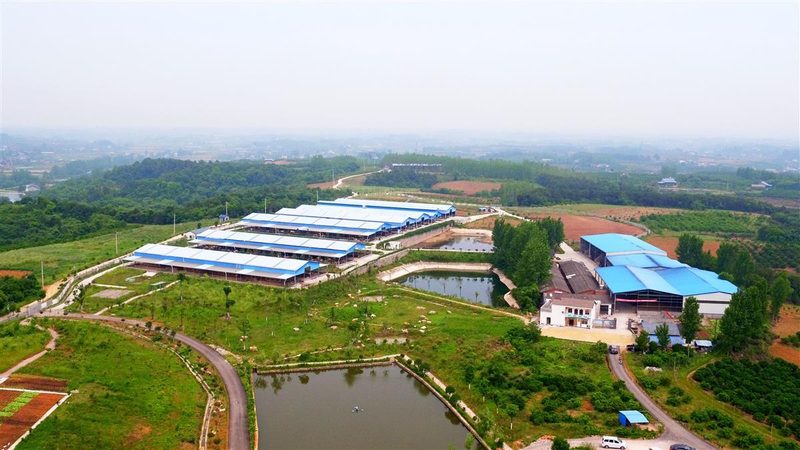 广东休闲农业政府补贴政策解读：如何抓住发展机遇