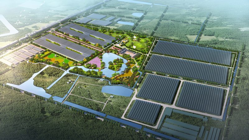 生鲜配送：城市居民的便捷之选