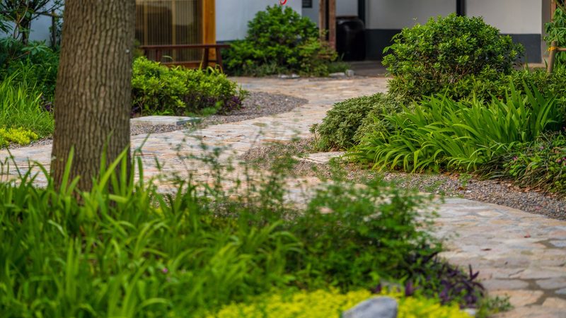 反季节水果种植，家庭农场主必看技巧**