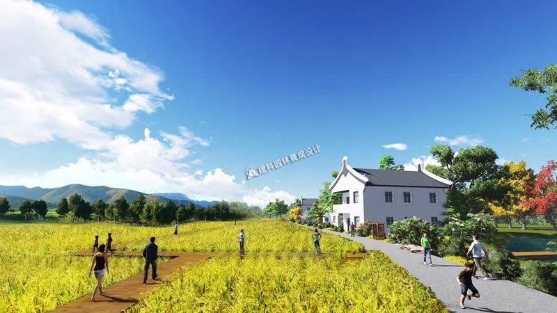 种植业可行性报告：如何科学评估项目前景**
