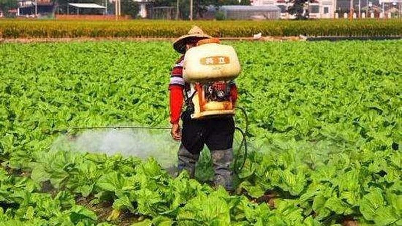 合作社与农场：农业生产的两种模式解析**