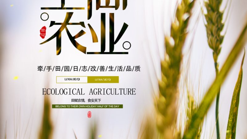 有机肥发酵设备：揭秘其价格与价值**