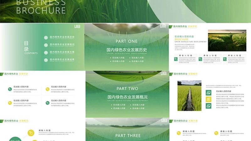 合作社分红方案模板word
